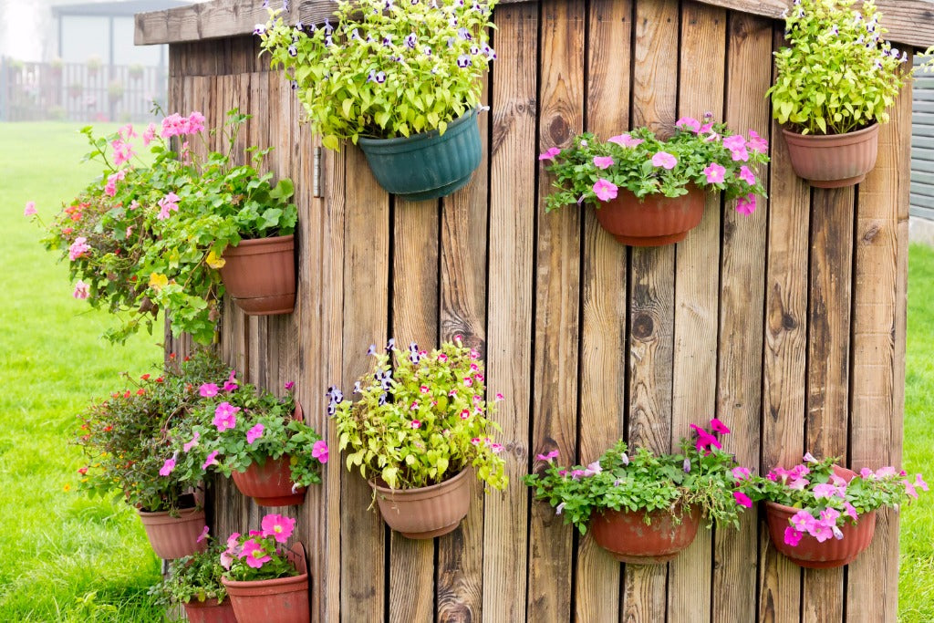 5 Tips for Growing a Beautiful Garden