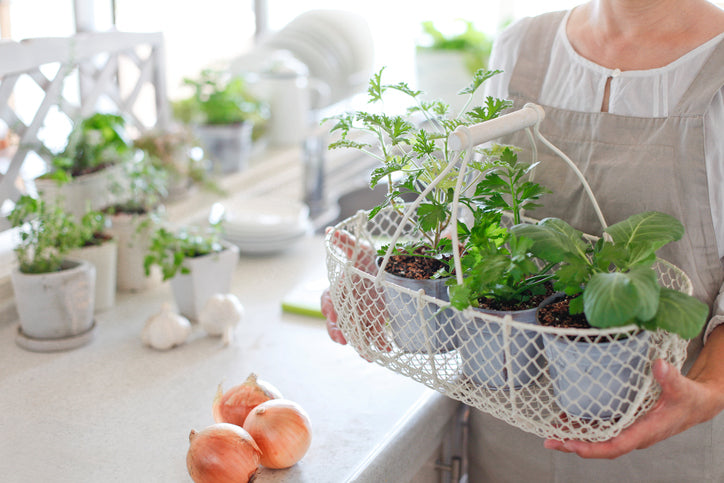 Garden Easier with Martha Stewart's Most-Practical Landscaping Ideas