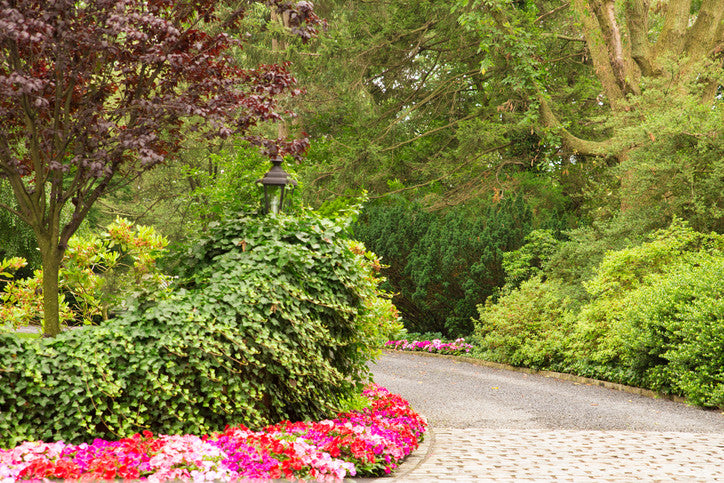 Finishing Touches and Landscaping Ideas for More Curb Appeal