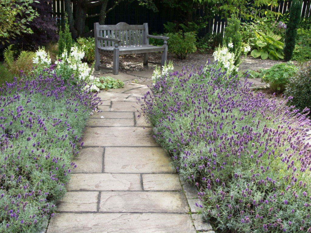 5 Landscaping Ideas for the Stay At Home Mom