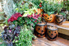 Ideas for Your Early Autumn Landscape: Prune and Grow Up