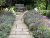 5 Landscaping Ideas for the Stay At Home Mom