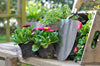 Fuss-Free Curb Appeal in any Season