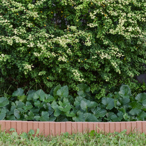 Nutmeg Flexible Poly Landscape Edging (6-Pk) 15' of Edging